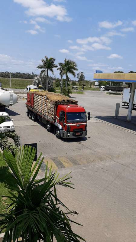 Fretes e cargas para truck na bahia